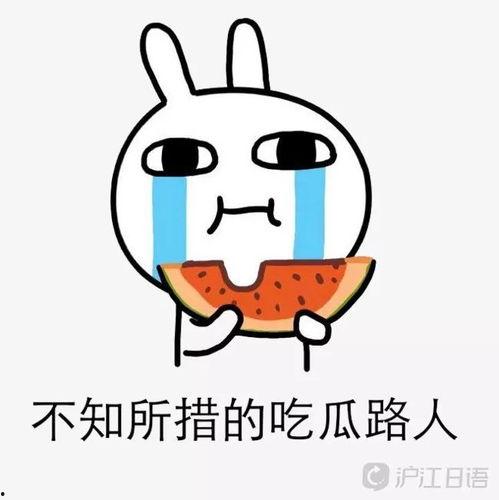 娱乐吃瓜粤语怎么说,粤语版“娱乐吃瓜”速成指南  第3张